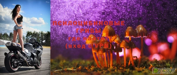 ECSTASY Абаза