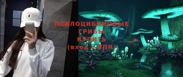 ECSTASY Абаза
