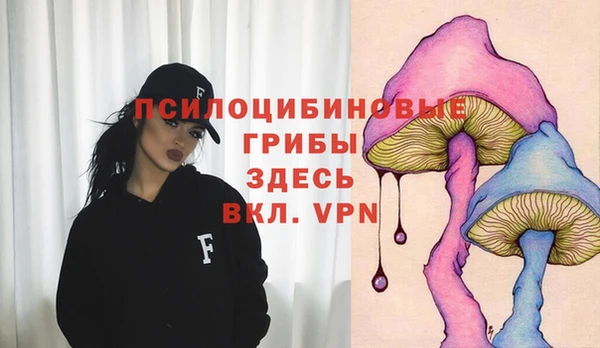 винт Абинск