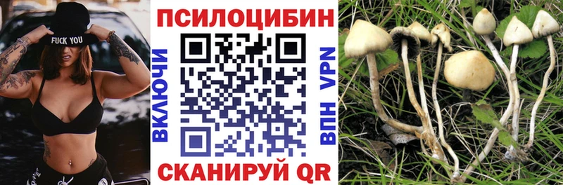 Псилоцибиновые грибы GOLDEN TEACHER  Емва 